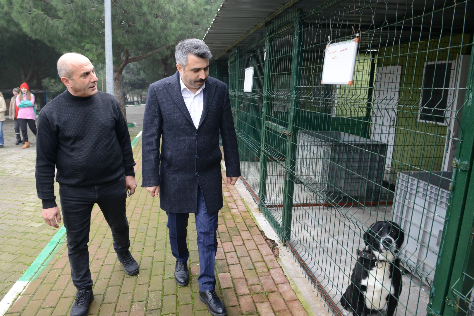 Yıldırım’dan can dostlara şefkat eli uzandı