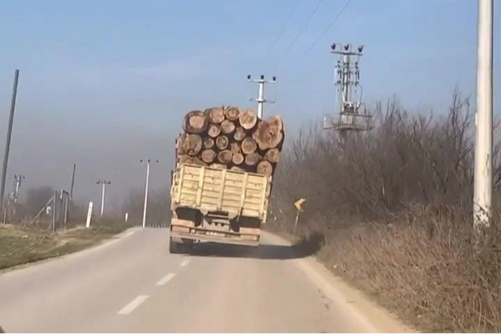 Tomruk yüklü kamyonetin tehlikeli yolculuğu korkuttu
