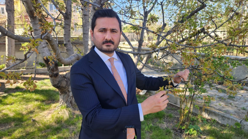 "Kraliyet kirazı" bu yıl çok az olacak
