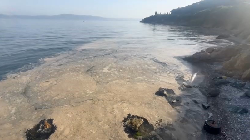 Gemlik’te müsilaj paniği