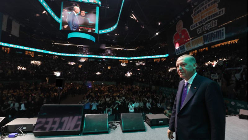 Erdoğan: "Barış diplomasisinin öncülüğünü dünyada bugün Türkiye üstleniyor"