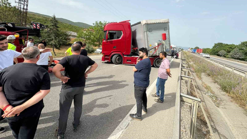 Bir arı bütün trafiği kilitledi!