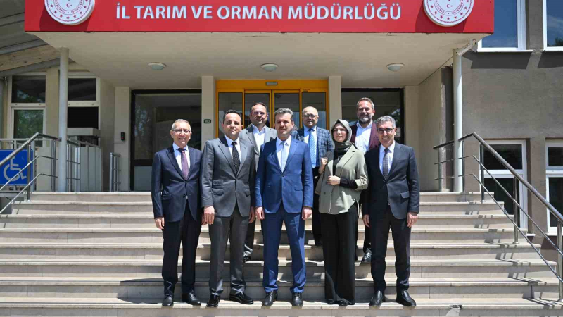 Endüstriyel yemek sektörü, ruhsatsız üretim yapan işletmelerden rahatsız