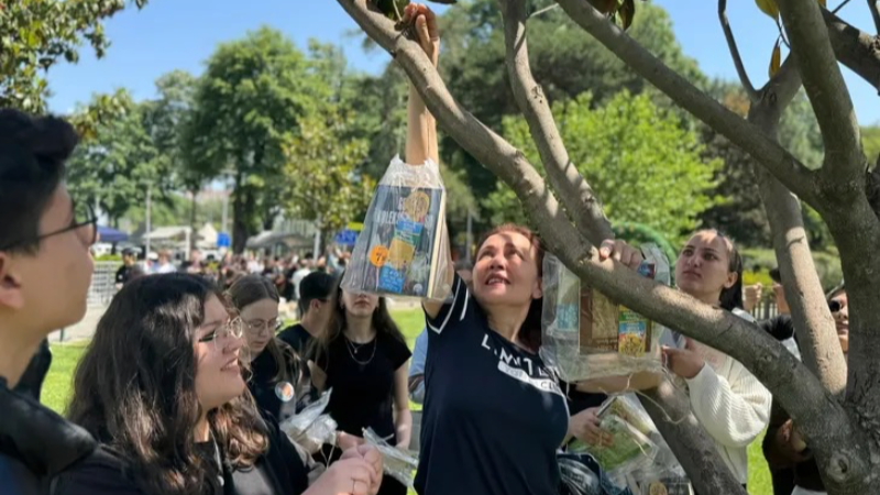 Bursa'da ağaçlar 'kitap' açtı!
