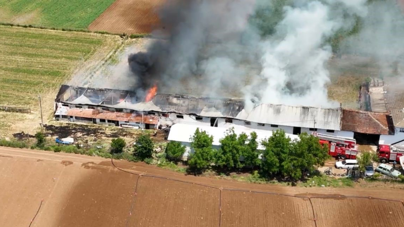 Hayvan çiftliğindeki büyük yangın havadan görüntülendi