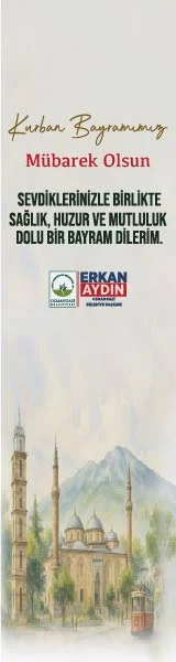 Reklam Alanı 101