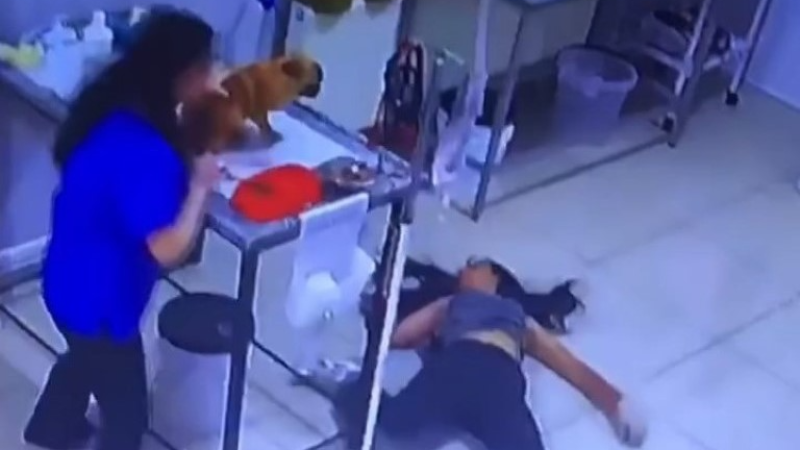 Veteriner kliniğinde köpeğini tedavi ettiren kadın bayıldı