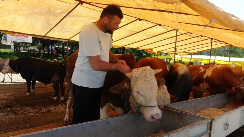 Ülke genelinde bütün hayvan pazarları kapatıldı