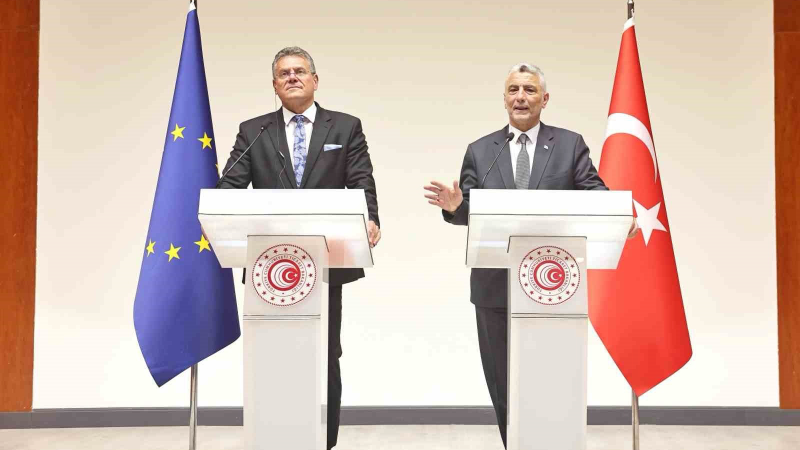 Bakan Bolat, Gümrük Birliği hakkında konuştu