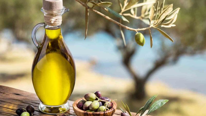 Zeytinyağı'nda 'yok yılı' geliyor