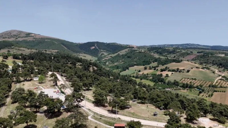 Yenişehir Kozdere Çamlığı'nda ilaçlama yapıldı
