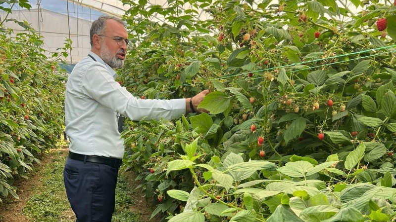 Uludağ’dan Sırbistan’a ahududu üretiminde uluslararası işbirliği