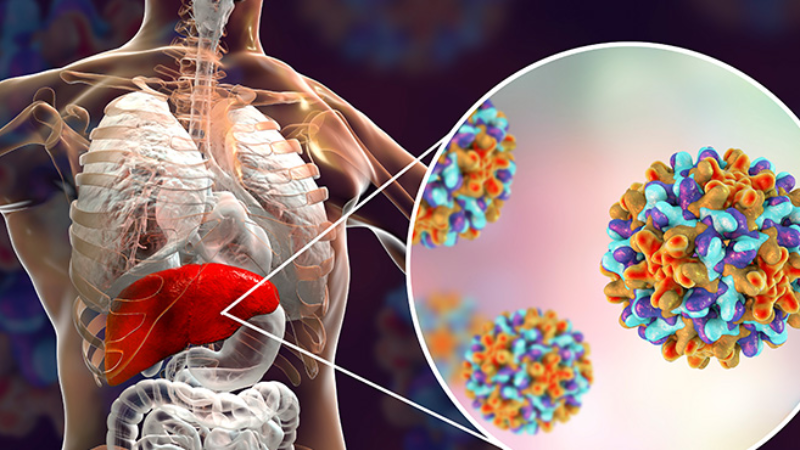 Halk sağlığı için Eskişehir’de hepatit tarama ve tedavi çalışmaları devam ediyor