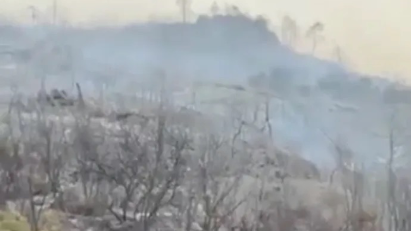 Bursa Büyükşehir yangınlarda güncel durumu açıkladı