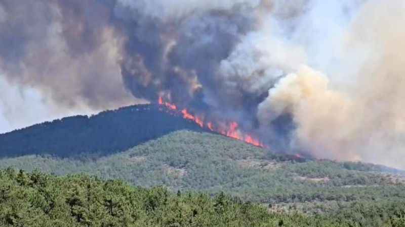 Kundakçı, FETÖ'cü çıktı