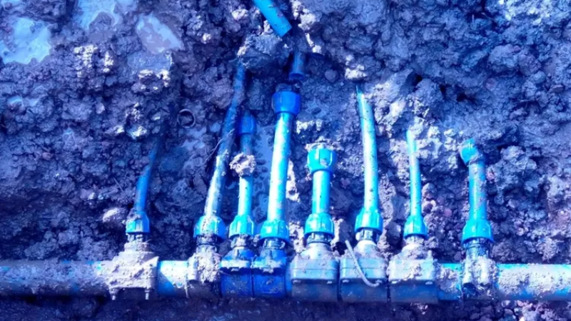 Görenler donakaldı, böylesi akıl sır erdirilmez