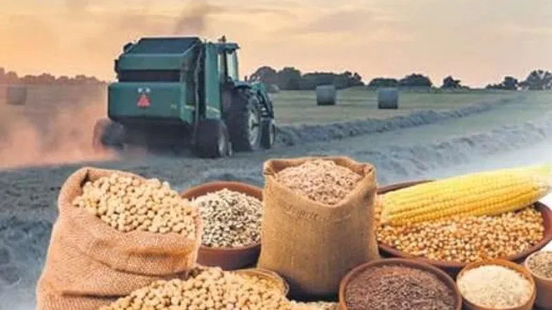 Tarımsal ürün endeksinde yükseliş