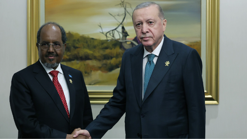 Cumhurbaşkanı Erdoğan, Somali Cumhurbaşkanı ile görüştü