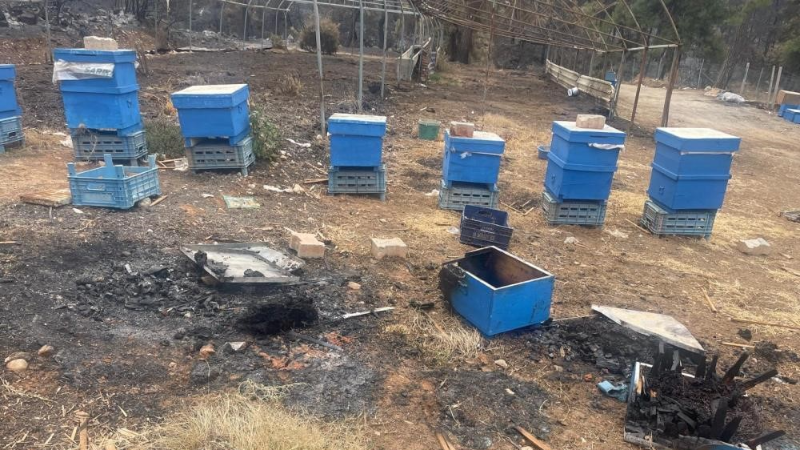 Yangın mağduru arıcılara Bursa Büyükşehirden kovan desteği