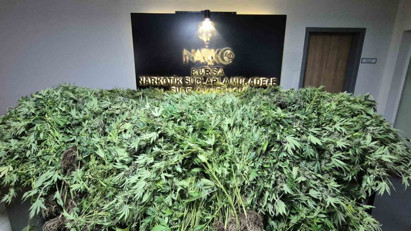 Bursa’da 9 kilo 400 gram esrar ele geçirildi