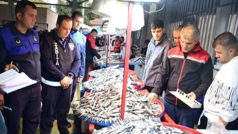 Yenişehir'de balık pazarına sıkı denetim