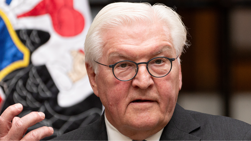 Steinmeier'den Türkiye, Katar, ABD ve Mısır'a teşekkür