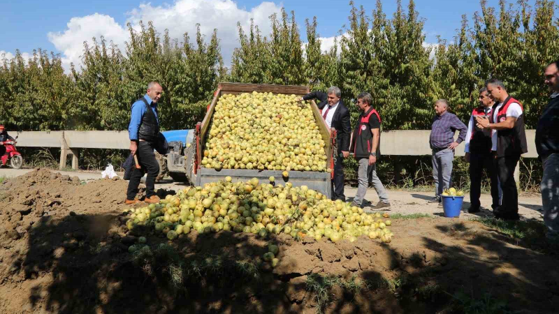 Bursa’da pestisite geçit yok