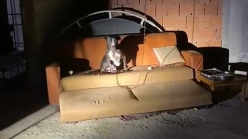 Panik yaşayan mahalle sakinleri konuştu
