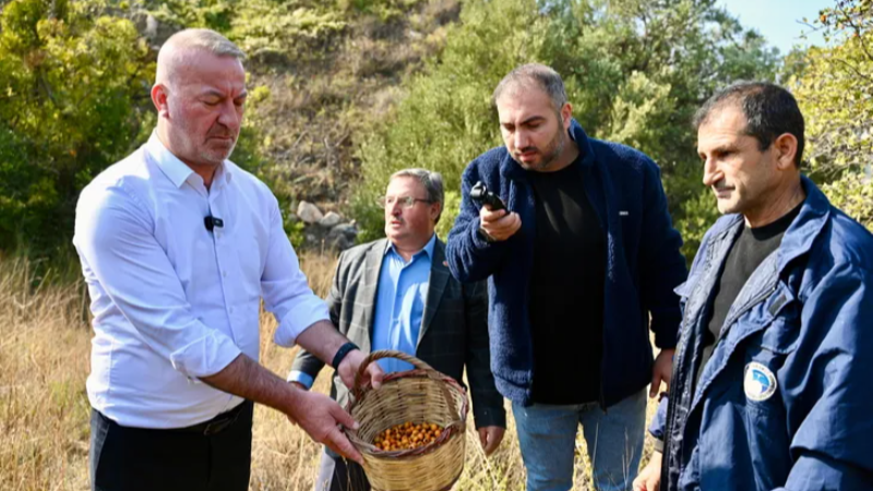Bursa Karacabey 'Alıç Meyvesi'ni dünya pazarında tanıtacak!