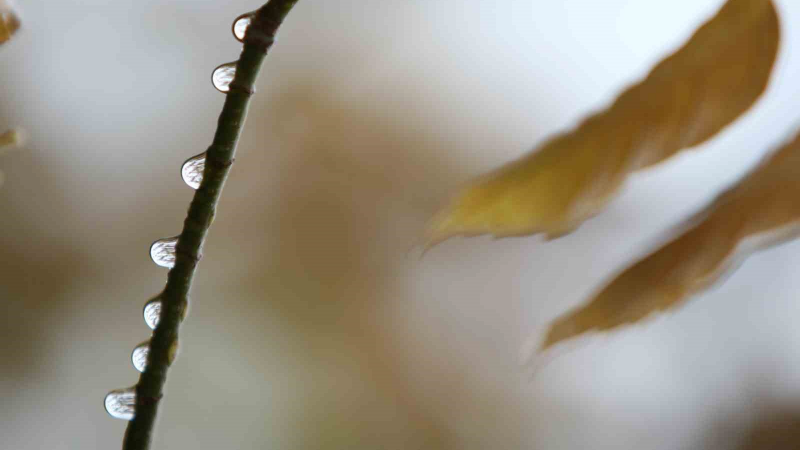 Bursa’da 2 günlük yağışlar ekim ayını kurtardı