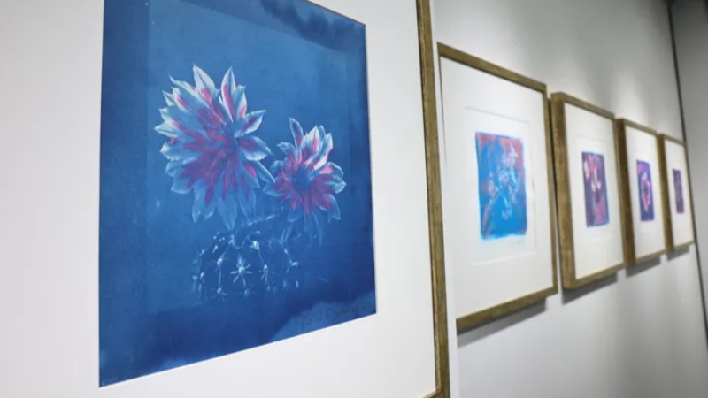 “Işığın İzi” sergisi  Nilüfer’de