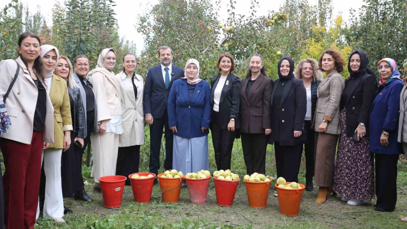 "Gürsu’da eller sadece armut toplamaya kalkar"