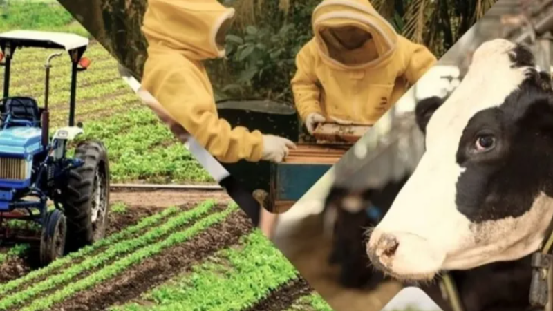 Çiftçiye 1,5 milyar TL destek hesaplarda