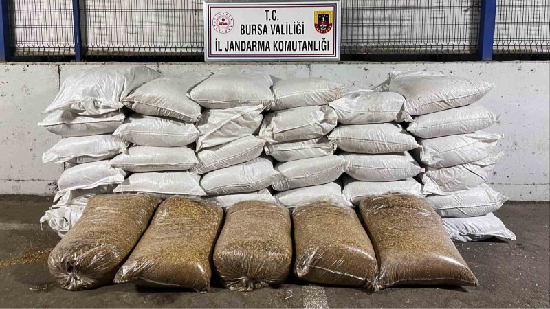 Jandarmadan kaçak sigara operasyonu