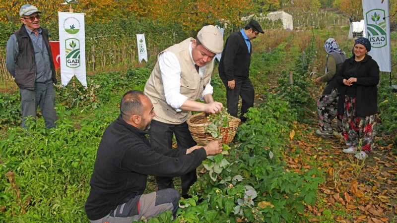 Osmangazi’den Organik Tarım Hamlesi
