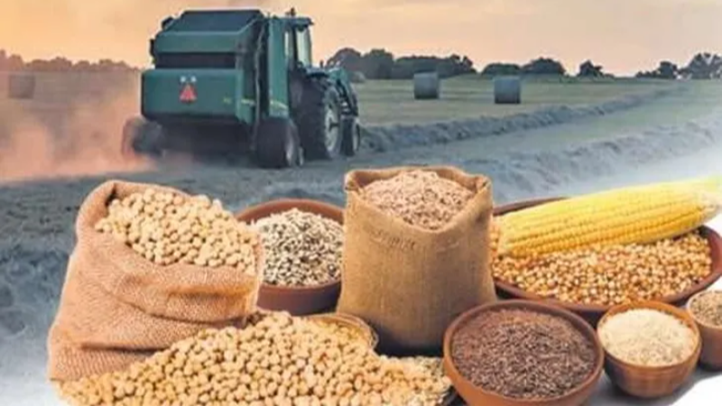 Arpa-Mısır İthalatında Yeni Kontenjan