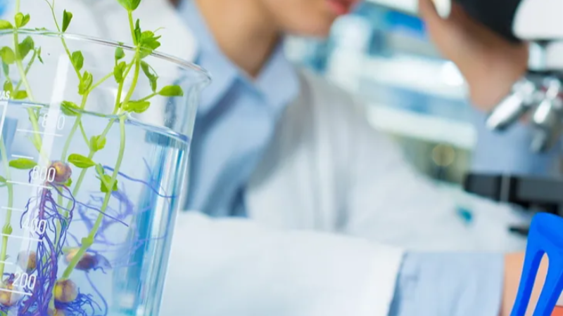 Laboratuvar denetimlerinde yeni kural!