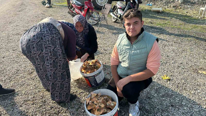 Okul harçlığını "kanlıca"dan çıkarıyor