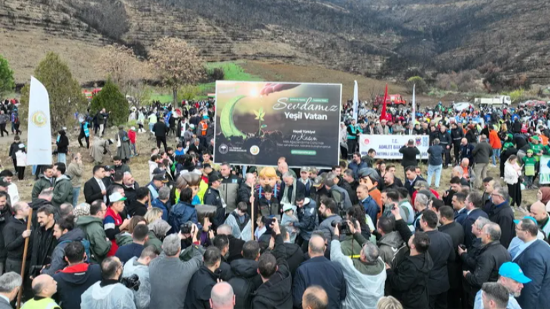 Gürsu’da yangın bölgesi yeniden hayat buluyor