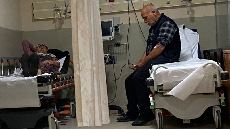 Ormandaki mantarları yiyen 7 kişi hastanelik oldu