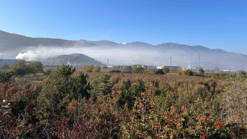 Kestel ve Gürsu’da çevre faciası