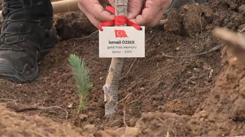 Bursa’da şehitler anısına fidan dikildi