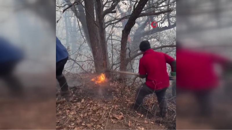 Türkiye'den İran'a orman yangını için 2 uçak