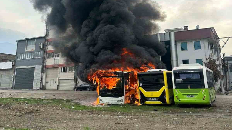 Park halindeki otobüsler cayır cayır yandı