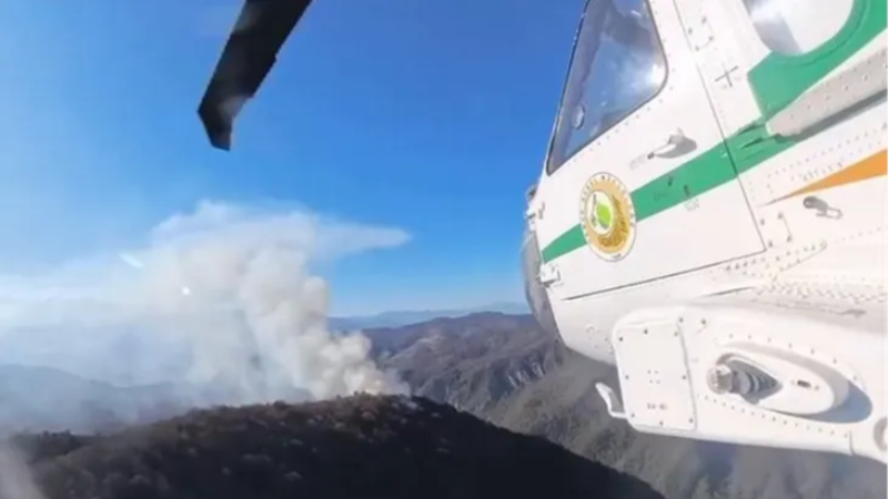 İran’daki orman yangınlarına Türkiye'den destek