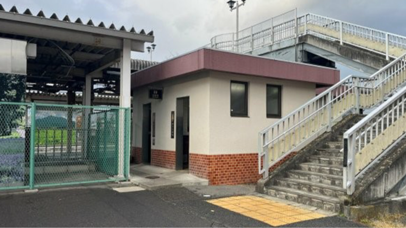 Japonya'da tren istasyonundaki umumi tuvalette ayı saldırısı