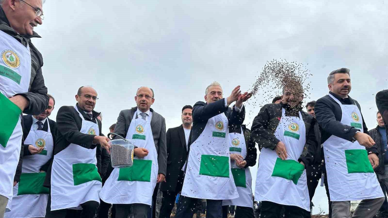 Harmancık’ta yanan 4 bin 256 hektar alan ağaçlandırılıyor