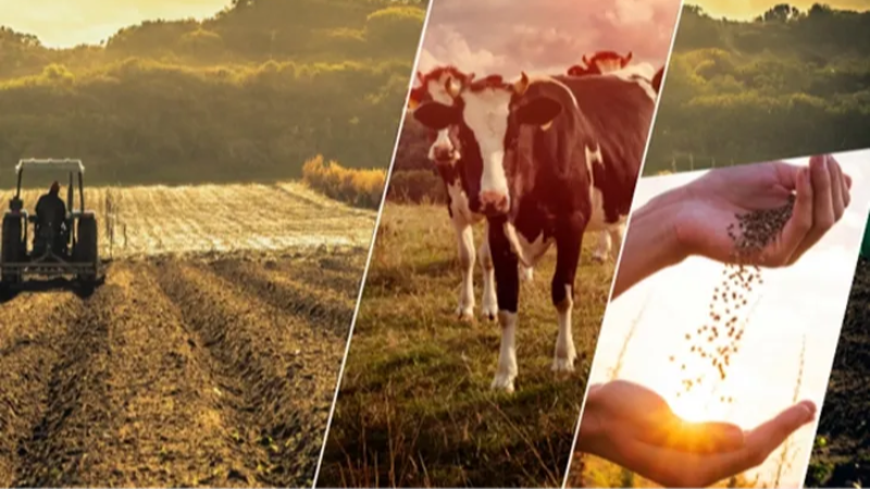 Çiftçiye 1,1 milyar TL'lik destek ödemesi başladı