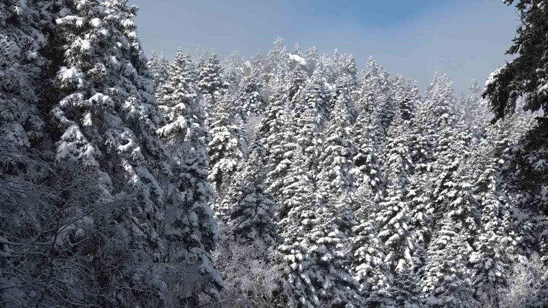 Uludağ’da sis görüşü 5 metreye düşürdü