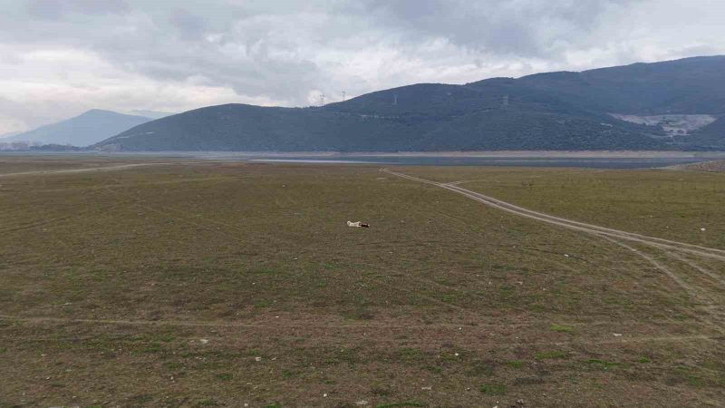 Bir göl daha yok oluyor